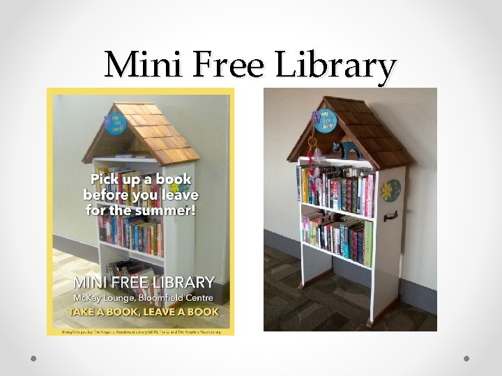 Mini Free Library 