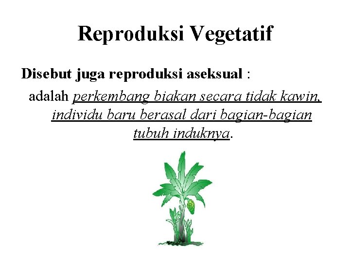 Reproduksi Vegetatif Disebut juga reproduksi aseksual : adalah perkembang biakan secara tidak kawin, individu