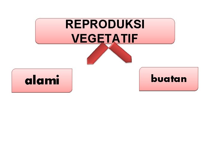 REPRODUKSI VEGETATIF alami buatan 