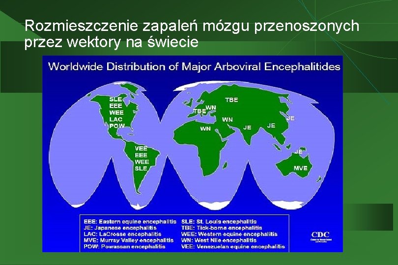 Rozmieszczenie zapaleń mózgu przenoszonych przez wektory na świecie 