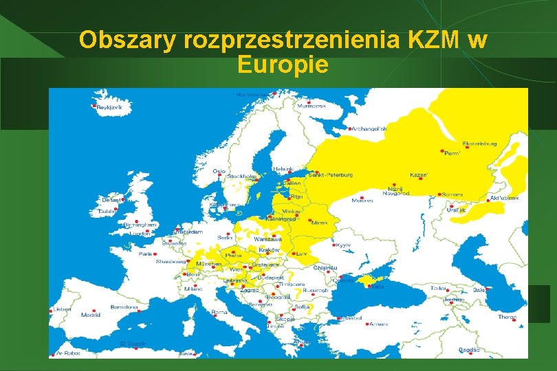 Obszary rozprzestrzenienia KZM w Europie 