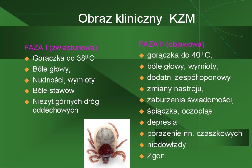 Obraz kliniczny KZM FAZA I (zwiastunowa) u Gorączka do 380 C u Bóle głowy,