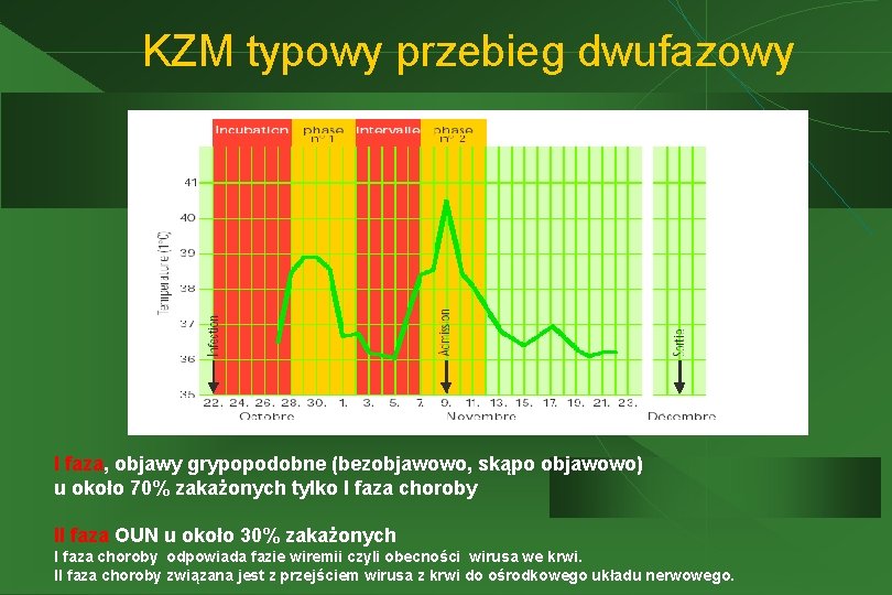 KZM typowy przebieg dwufazowy I faza, objawy grypopodobne (bezobjawowo, skąpo objawowo) u około 70%