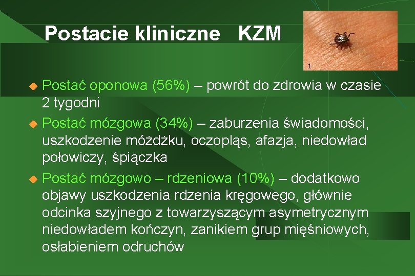 Postacie kliniczne KZM Postać oponowa (56%) – powrót do zdrowia w czasie 2 tygodni