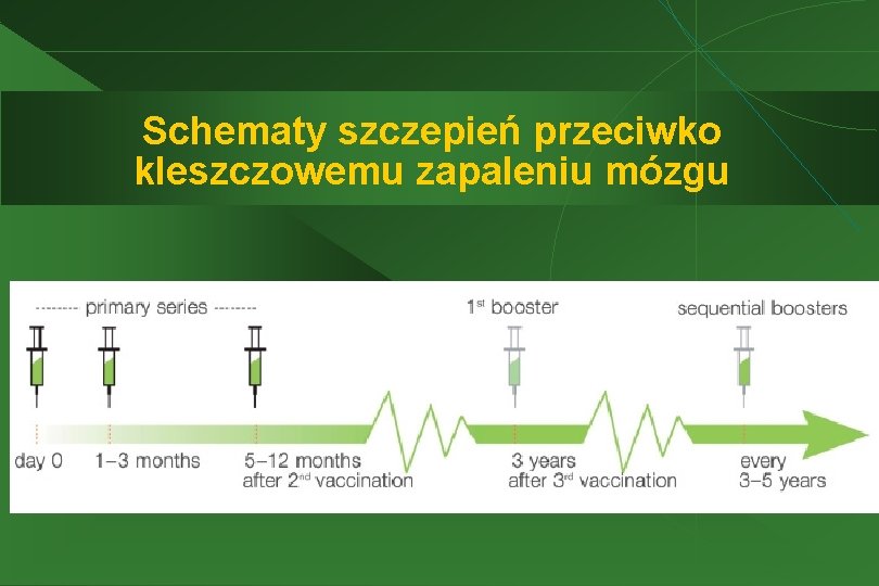 Schematy szczepień przeciwko kleszczowemu zapaleniu mózgu 