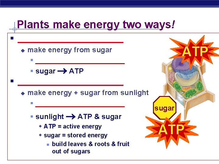 Plants make energy two ways! § ____________ u ATP make energy from sugar §