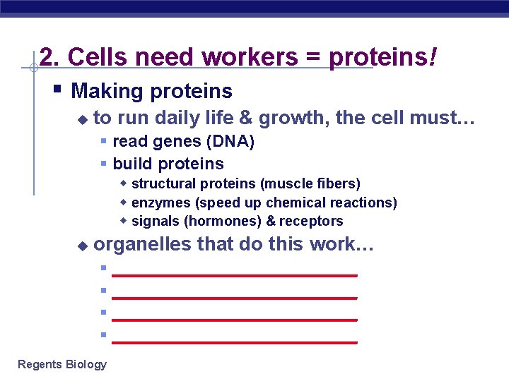 2. Cells need workers = proteins! § Making proteins u to run daily life