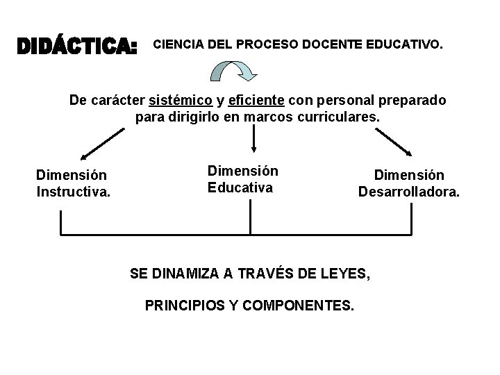 CIENCIA DEL PROCESO DOCENTE EDUCATIVO. De carácter sistémico y eficiente con personal preparado para