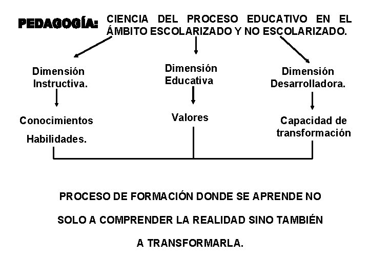 CIENCIA DEL PROCESO EDUCATIVO EN EL ÁMBITO ESCOLARIZADO Y NO ESCOLARIZADO. Dimensión Instructiva. Dimensión