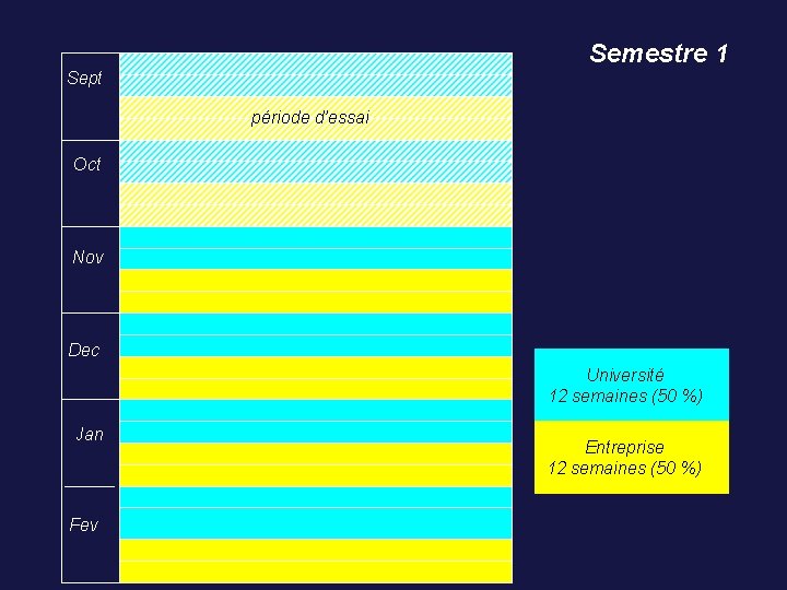 Semestre 1 Sept période d’essai Oct Nov Dec Université 12 semaines (50 %) Jan