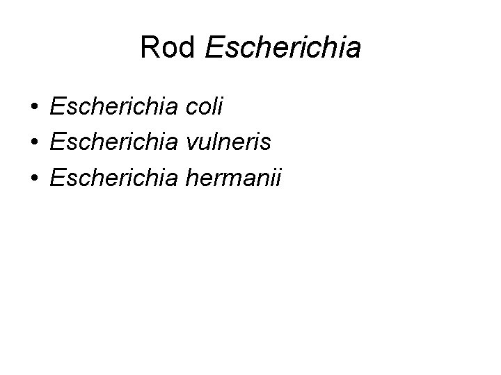 Rod Escherichia • Escherichia coli • Escherichia vulneris • Escherichia hermanii 