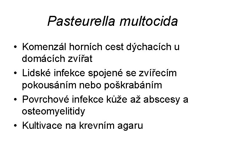 Pasteurella multocida • Komenzál horních cest dýchacích u domácích zvířat • Lidské infekce spojené