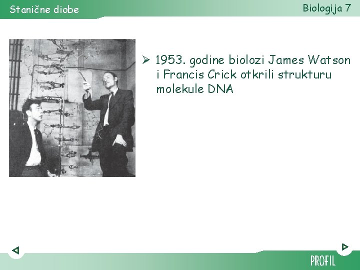 Stanične diobe Biologija 7 Ø 1953. godine biolozi James Watson i Francis Crick otkrili