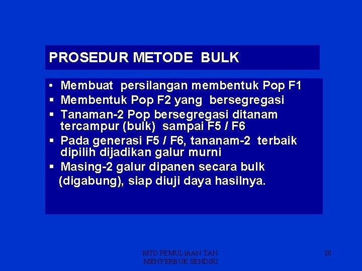 PROSEDUR METODE BULK • Membuat persilangan membentuk Pop F 1 § Membentuk Pop F