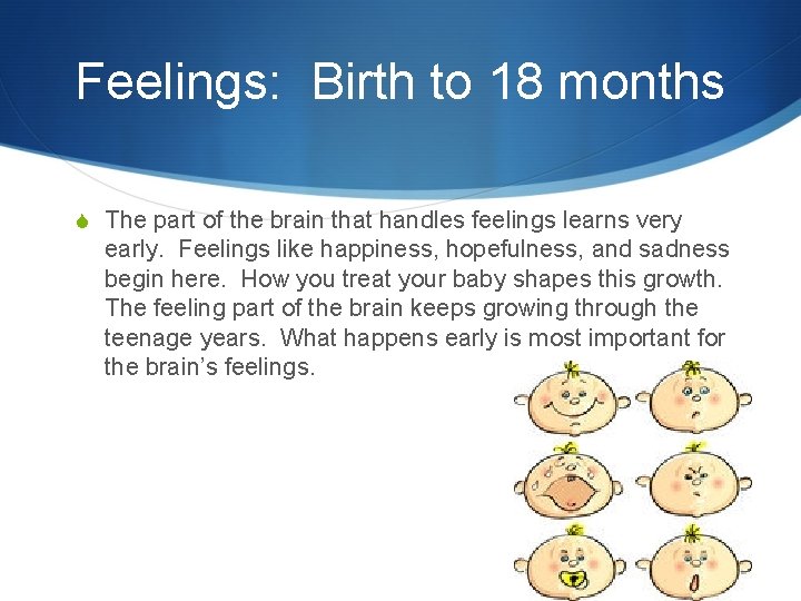 Feelings: Birth to 18 months S The part of the brain that handles feelings