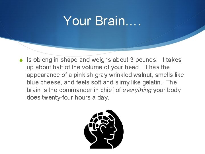 Your Brain…. S Is oblong in shape and weighs about 3 pounds. It takes