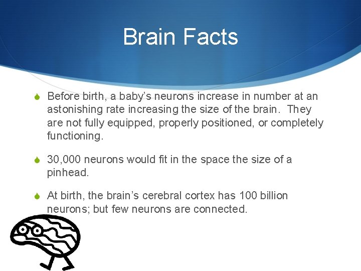 Brain Facts S Before birth, a baby’s neurons increase in number at an astonishing