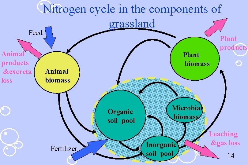 Feed Animal products &excreta loss Nitrogen cycle in the components of grassland Plant biomass
