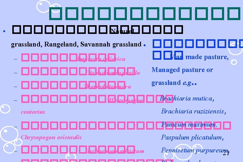 ������� • �������� Natural grassland, Rangeland, Savannah grassland • ����� ��� Man made pasture,