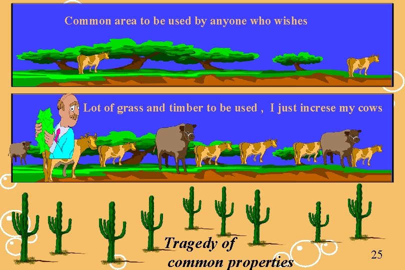 Common area to be used by anyone who wishes Lot of grass and timber