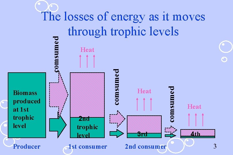 Producer 2 nd trophic level 1 st consumer Heat 3 rd 2 nd consumer