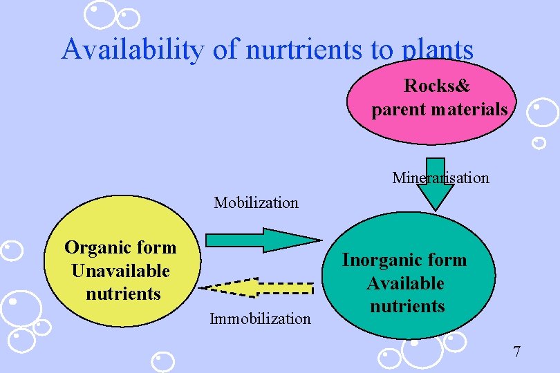 Availability of nurtrients to plants Rocks& parent materials Minerarisation Mobilization Organic form Unavailable nutrients