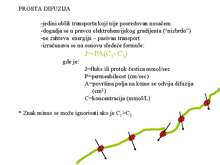 PROSTA DIFUZIJA -jedini oblik transporta koji nije posredovan nosačem -dogadja se u pravcu elektrohemijskog