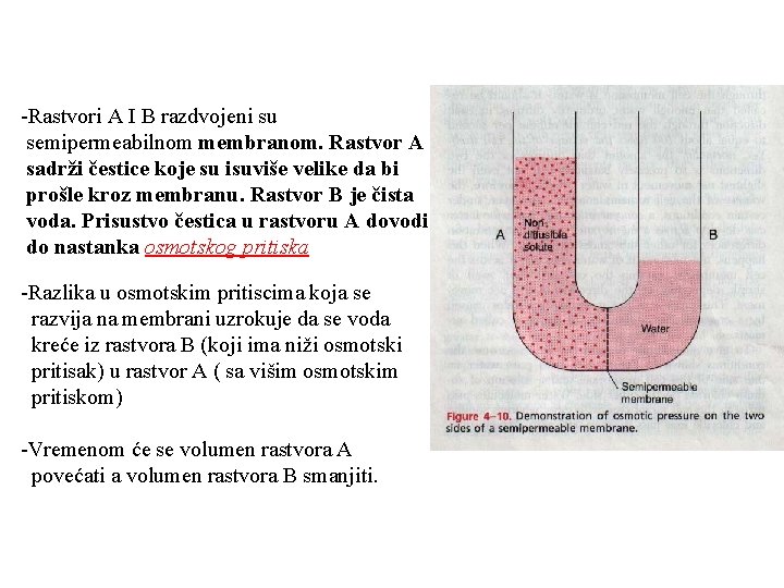 -Rastvori A I B razdvojeni su semipermeabilnom membranom. Rastvor A sadrži čestice koje su