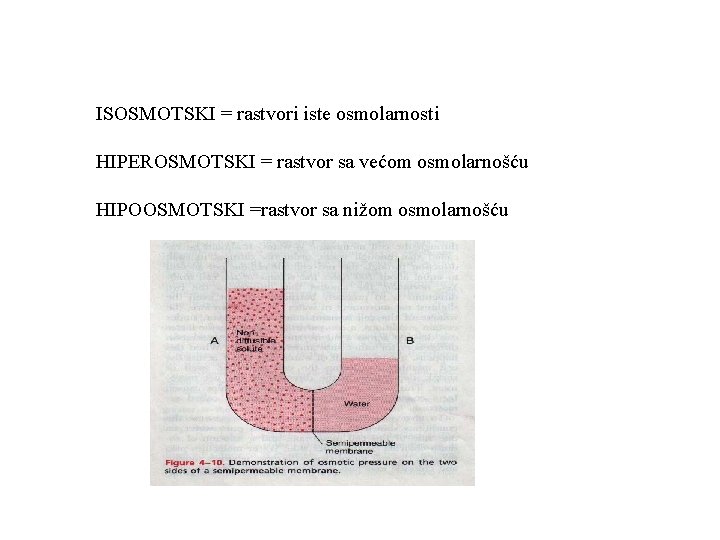 ISOSMOTSKI = rastvori iste osmolarnosti HIPEROSMOTSKI = rastvor sa većom osmolarnošću HIPOOSMOTSKI =rastvor sa