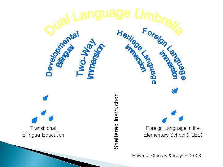 Sheltered Instruction Transitional Bilingual Education Foreign Language in the Elementary School (FLES) Howard, Olague,