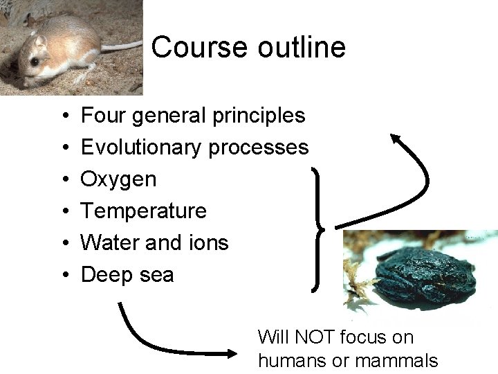 Course outline • • • Four general principles Evolutionary processes Oxygen Temperature Water and