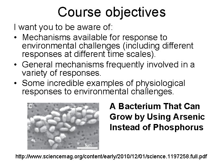 Course objectives I want you to be aware of: • Mechanisms available for response