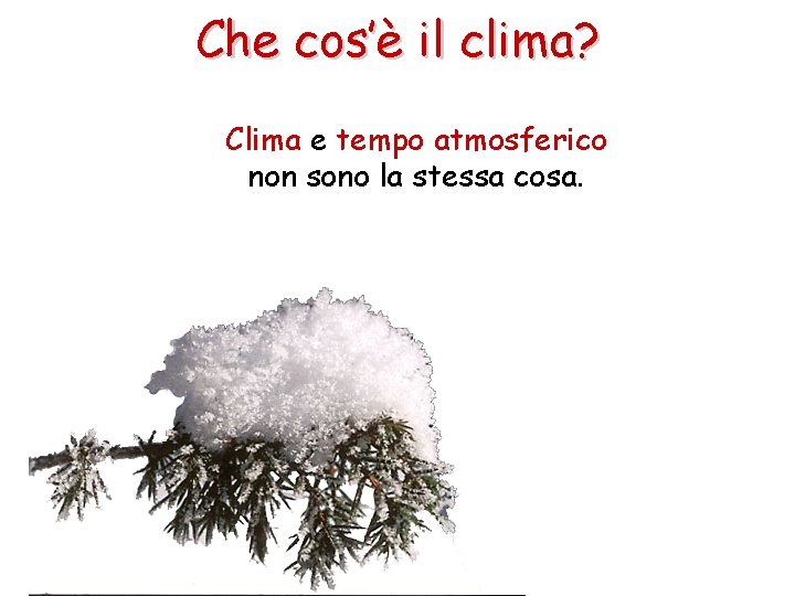 Che cos’è il clima? Clima e tempo atmosferico non sono la stessa cosa. 