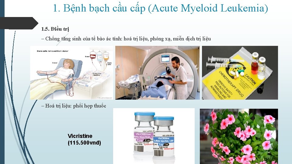 1. Bệnh bạch cầu cấp (Acute Myeloid Leukemia) 1. 5. Điều trị ‒ Chống