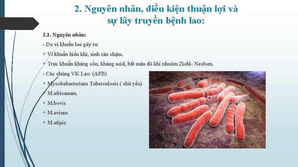 2. Nguyên nhân, điều kiện thuận lợi và sự lây truyền bệnh lao: 2.