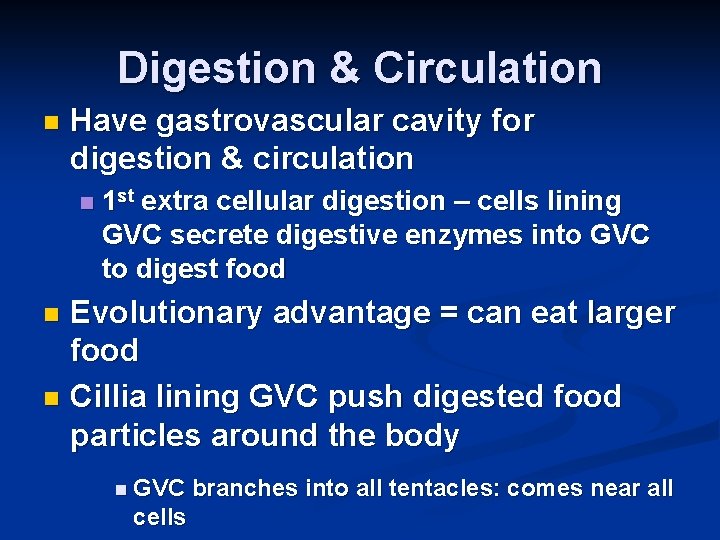 Digestion & Circulation n Have gastrovascular cavity for digestion & circulation n 1 st