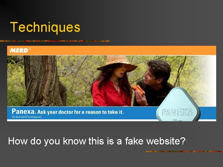 Techniques How do you know this is a fake website? 