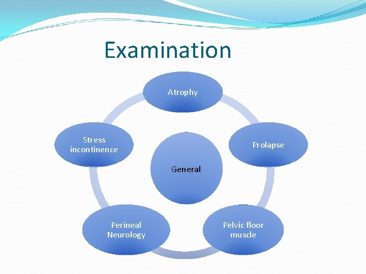 Examination Atrophy Stress incontinence Prolapse General Perineal Neurology Pelvic floor muscle 