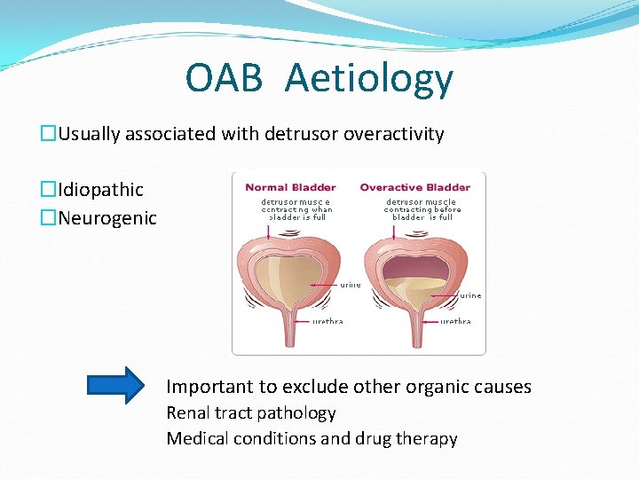 OAB Aetiology �Usually associated with detrusor overactivity �Idiopathic �Neurogenic Important to exclude other organic