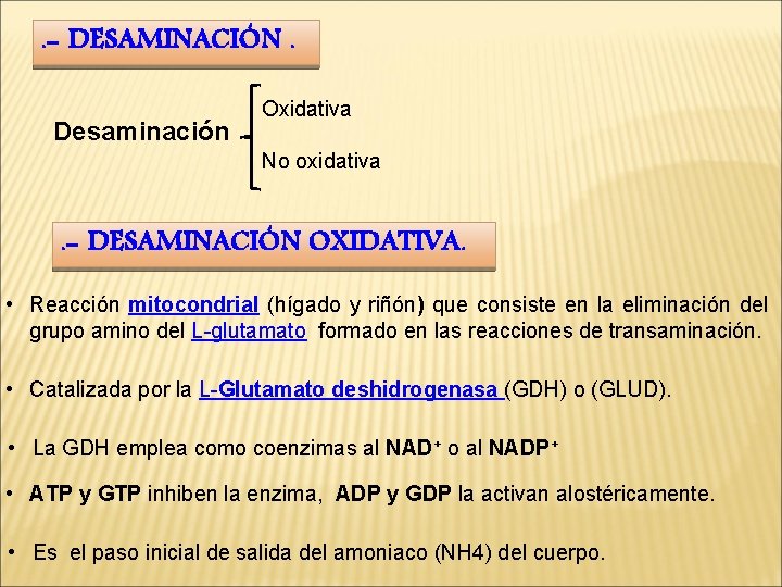 . - DESAMINACIÓN. Desaminación Oxidativa No oxidativa . - DESAMINACIÓN OXIDATIVA. • Reacción mitocondrial