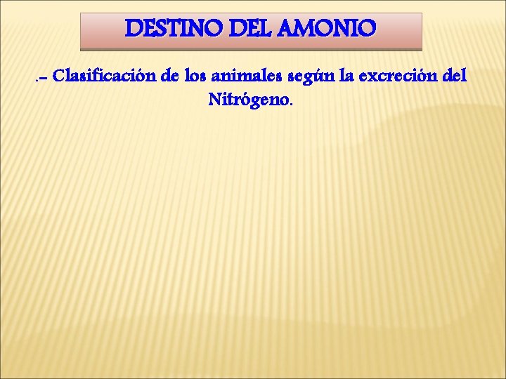 DESTINO DEL AMONIO. - Clasificación de los animales según la excreción del Nitrógeno. 