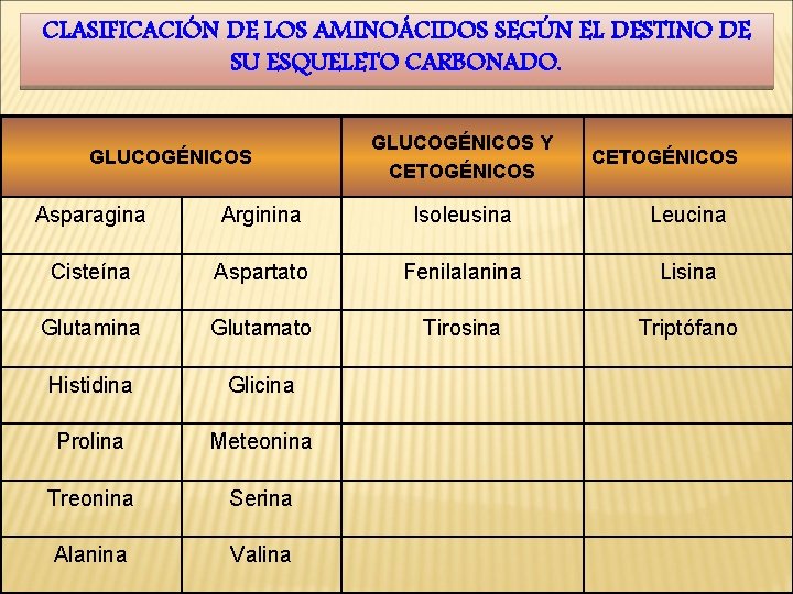 CLASIFICACIÓN DE LOS AMINOÁCIDOS SEGÚN EL DESTINO DE SU ESQUELETO CARBONADO. GLUCOGÉNICOS Y CETOGÉNICOS
