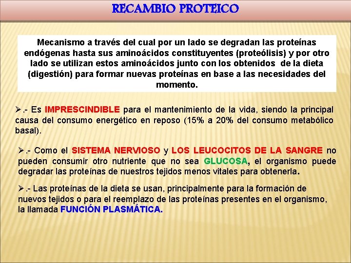 RECAMBIO PROTEICO Mecanismo a través del cual por un lado se degradan las proteínas