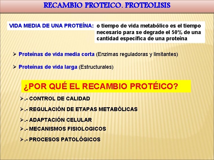 RECAMBIO PROTEICO. PROTEOLISIS VIDA MEDIA DE UNA PROTEÍNA: o tiempo de vida metabólico es