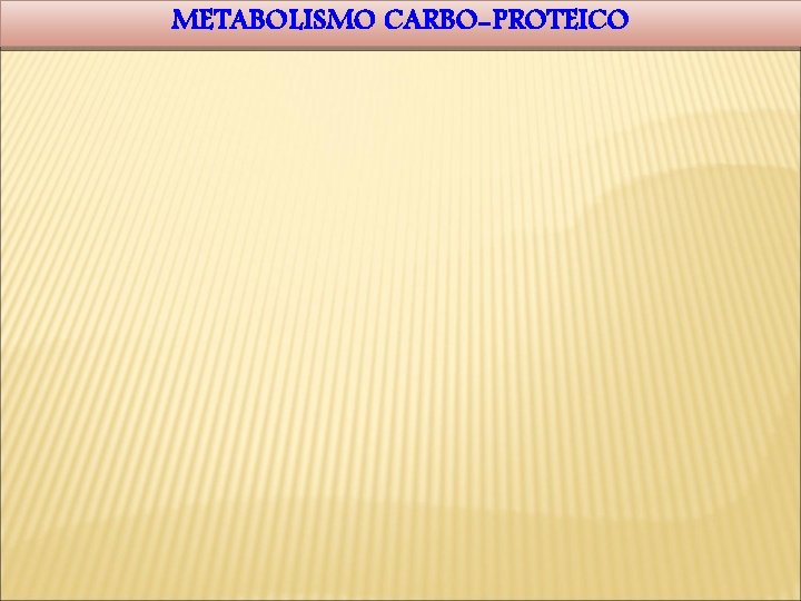 METABOLISMO CARBO-PROTEICO 