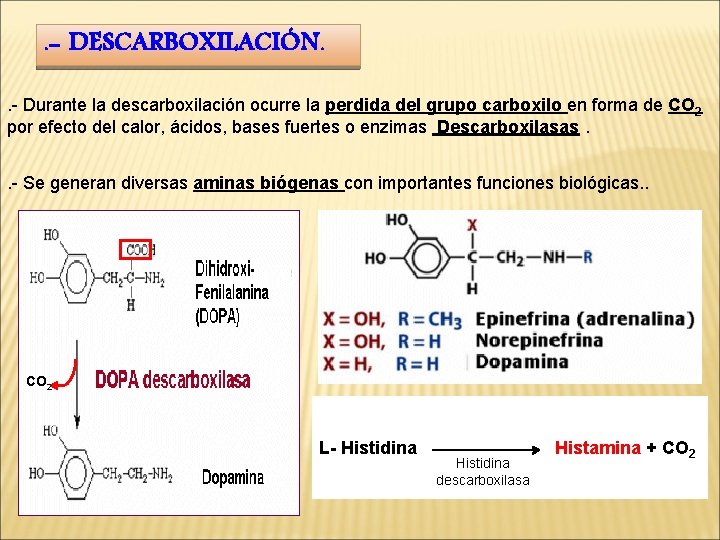 . - DESCARBOXILACIÓN. . - Durante la descarboxilación ocurre la perdida del grupo carboxilo
