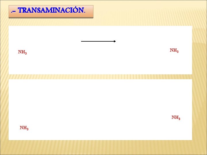 . - TRANSAMINACIÓN. NH 3 