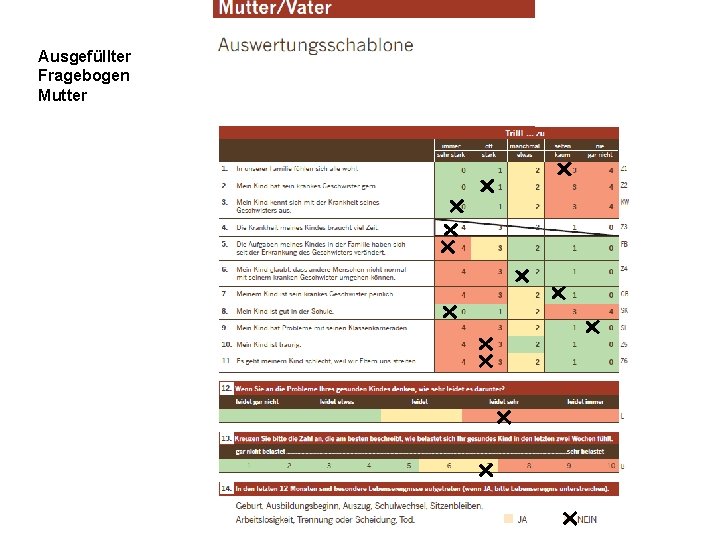 Ausgefüllter Fragebogen Mutter 