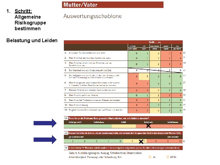 1. Schritt: Allgemeine Risikogruppe bestimmen Belastung und Leiden 