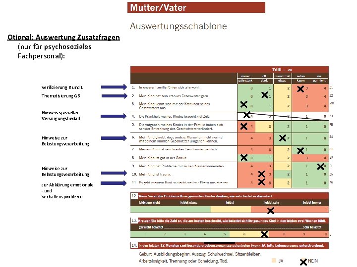 Otional: Auswertung Zusatzfragen (nur für psychosoziales Fachpersonal): Verifizierung B und L Thematisierung GB Hinweis